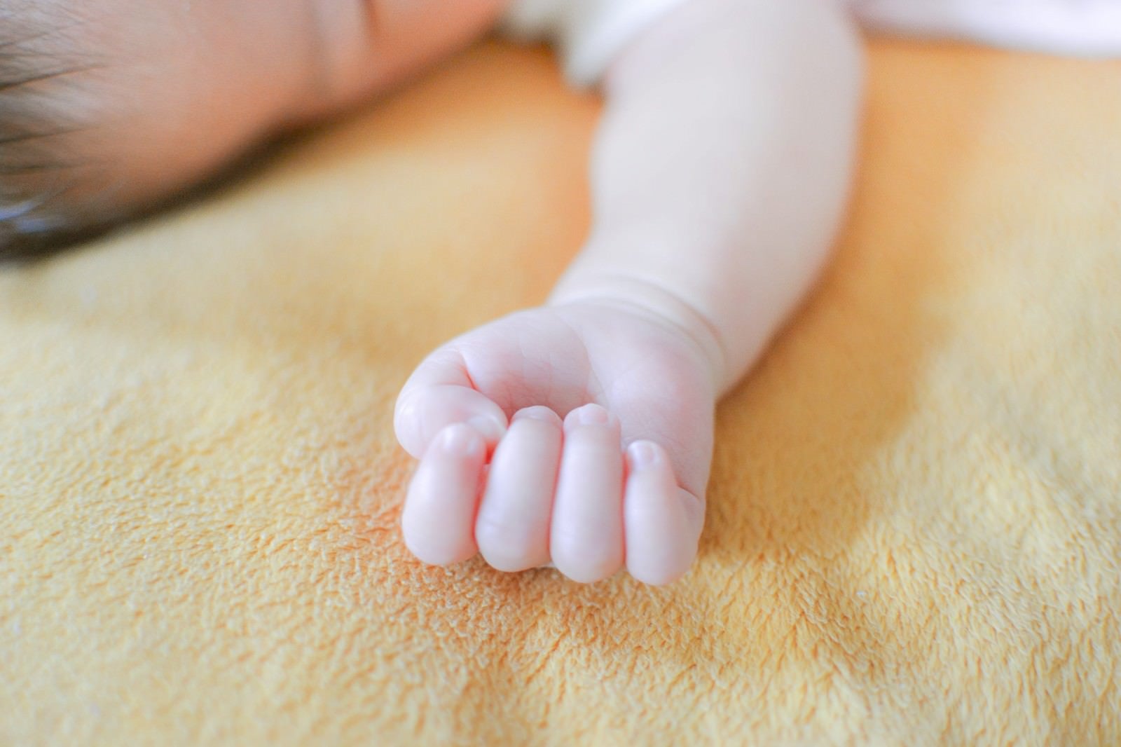 「新生児のムチムチの右手」の写真