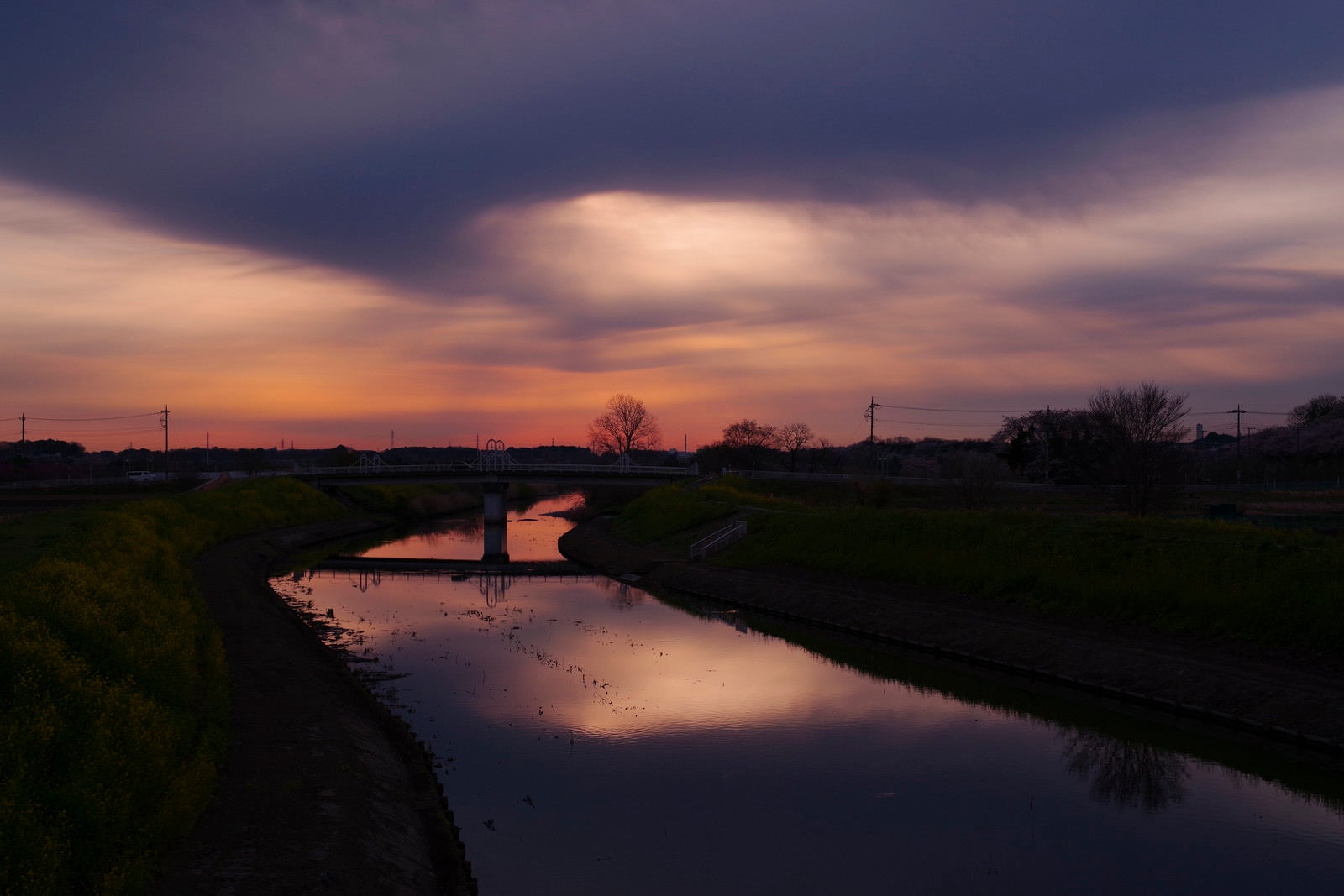 「不穏な朝の光を反射する見沼田んぼの芝川」の写真
