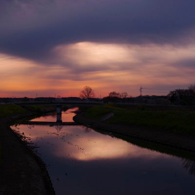 不穏な朝の光を反射する見沼田んぼの芝川の写真