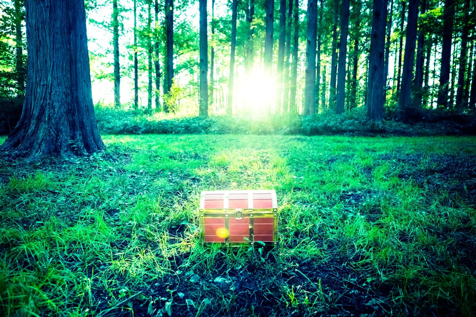 「勇者は森の中で宝箱を見つけた！」の写真