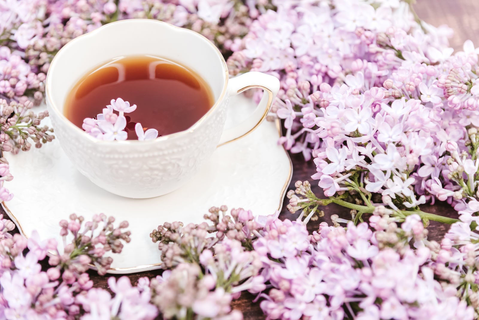 「ライラックに彩られた紅茶」の写真