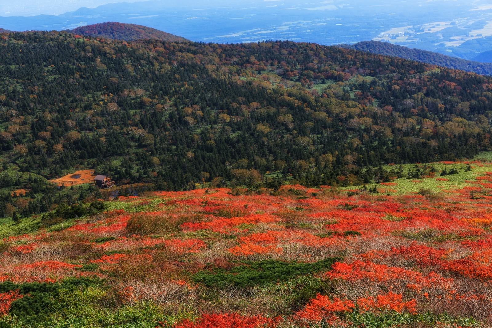 「紅葉はじめの山」の写真