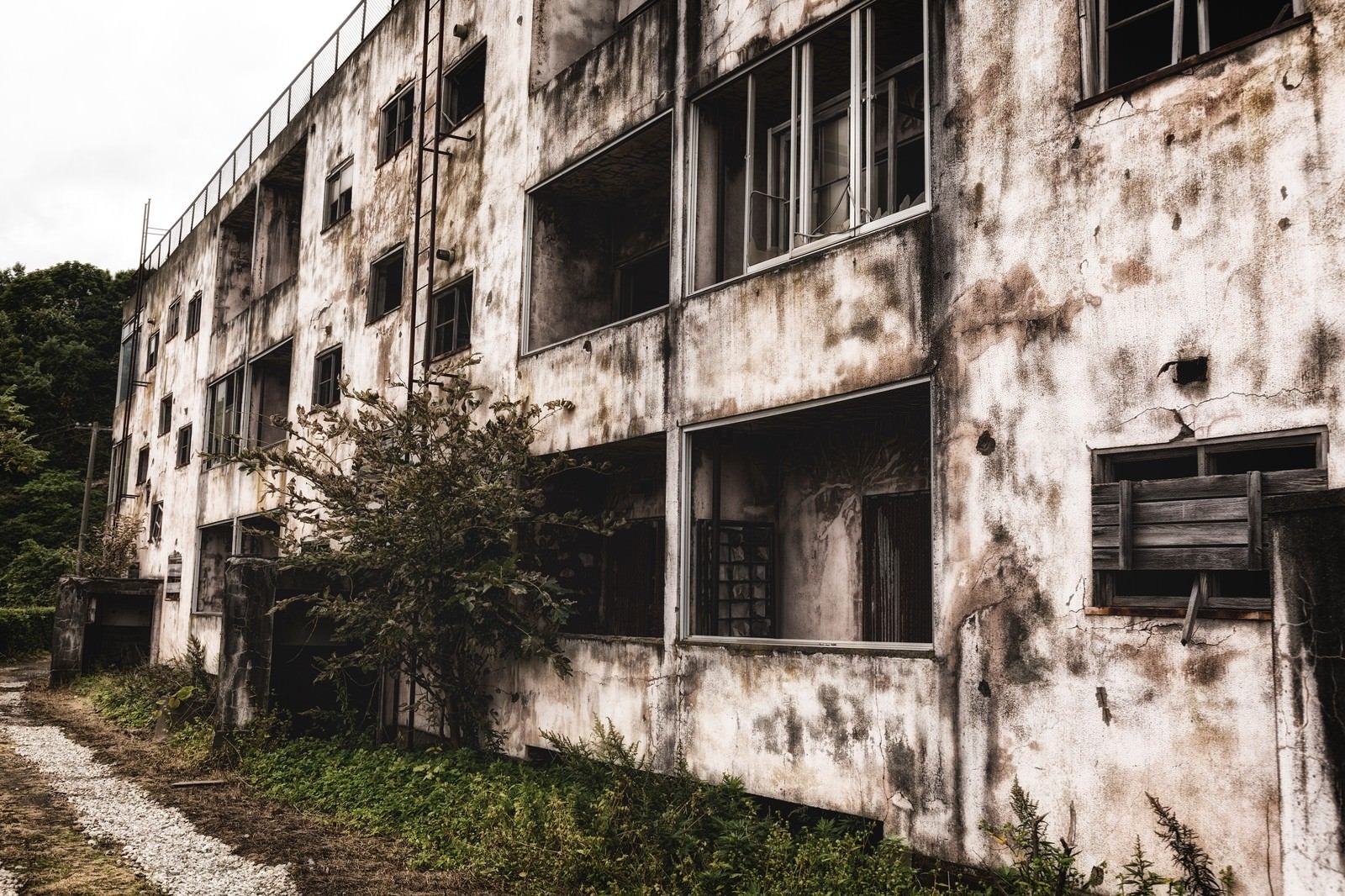 「廃アパート」の写真