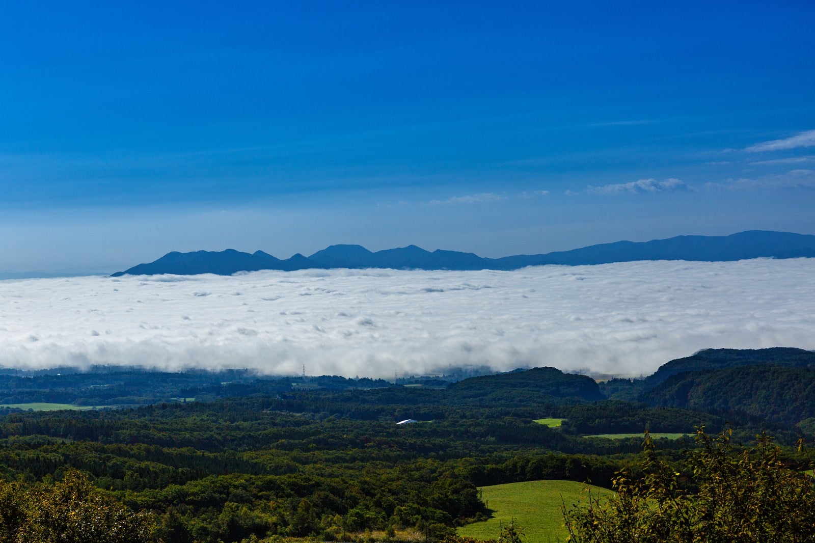 「広がる雲海」の写真