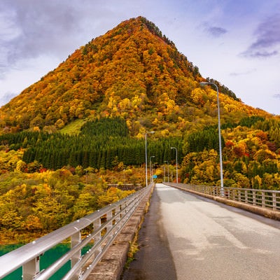 とんがり山（男神山）の紅葉の写真