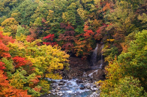 八幡平の紅葉渓谷の写真