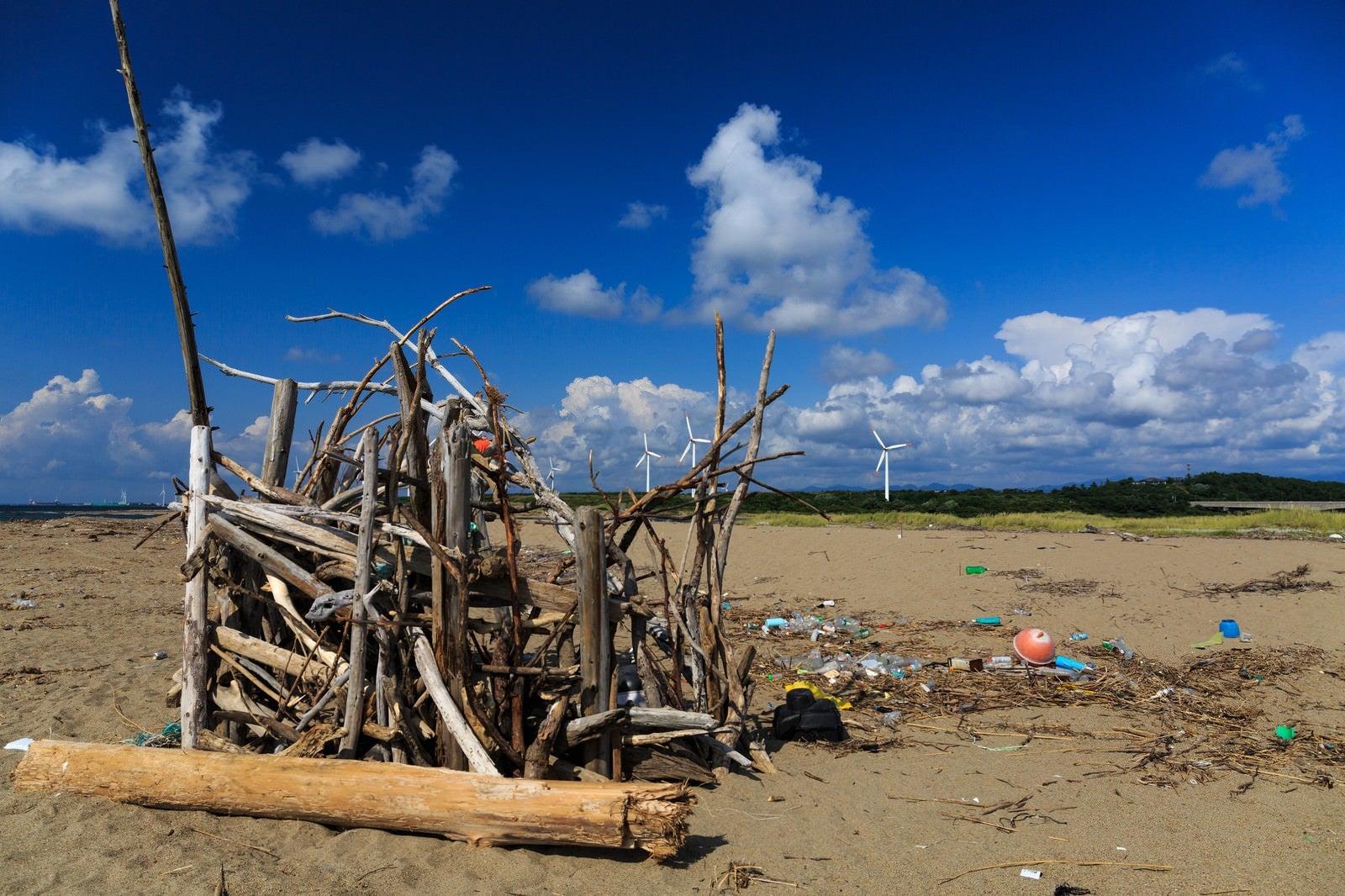 「海岸の廃物とゴミ」の写真