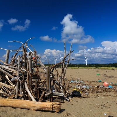 海岸の廃物とゴミの写真