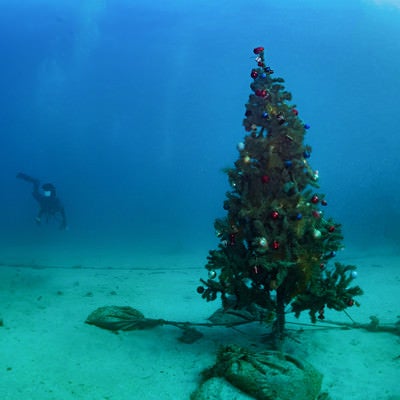 海中のクリスマスツリーの写真