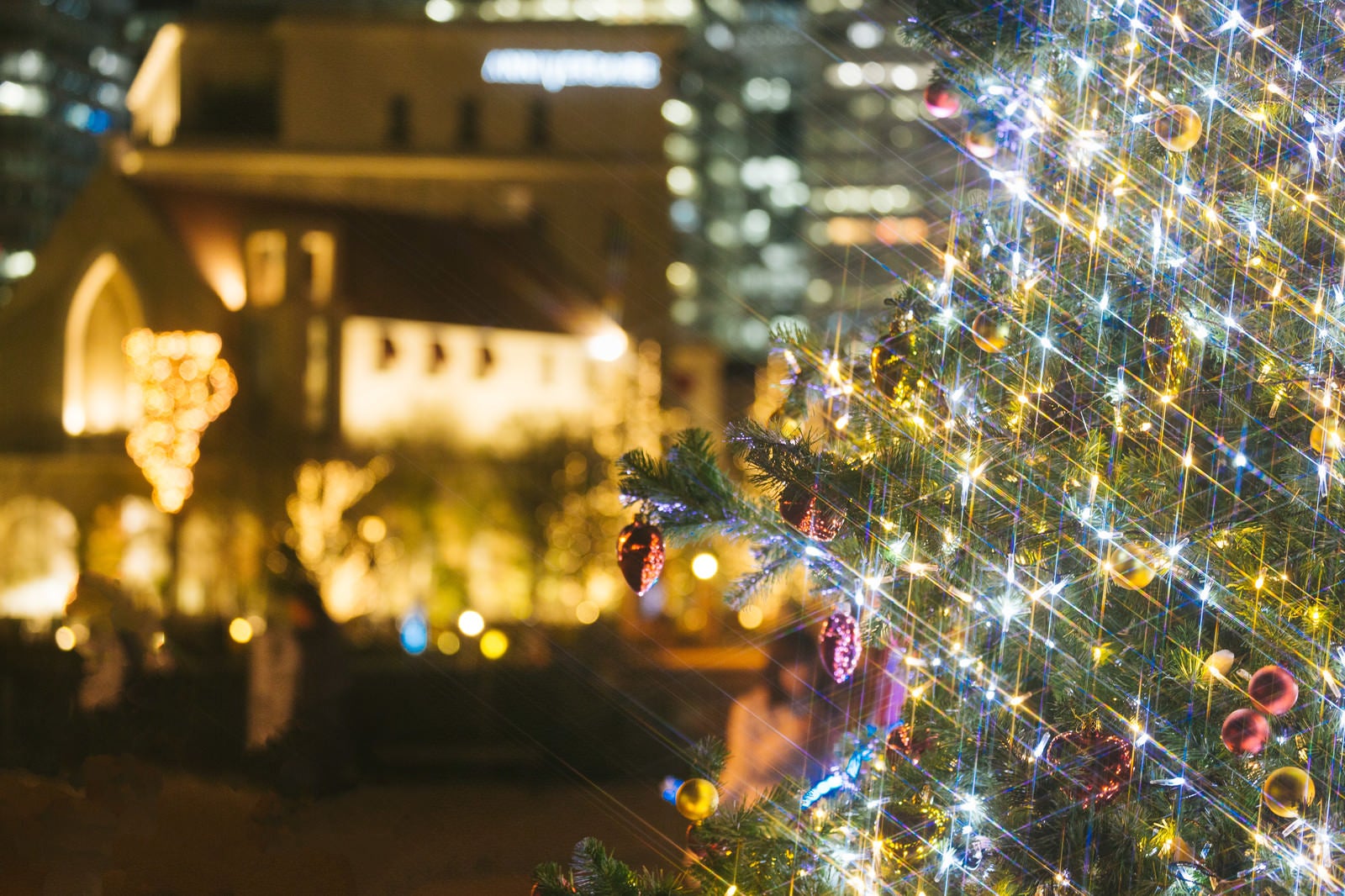 「クリスマスツリーと街並み（夜景）」の写真