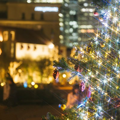 クリスマスツリーと街並み（夜景）の写真