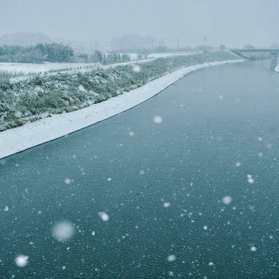 季節外れの雪が降り積もる朝の芝川の写真