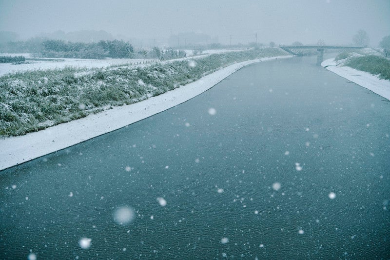 季節外れの雪が降り積もる朝の芝川の写真