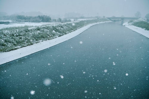 季節外れの雪が降り積もる朝の芝川の写真
