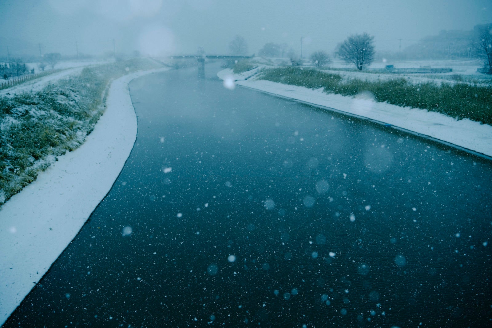 「季節外れの雪が降る見沼田んぼの芝川」の写真