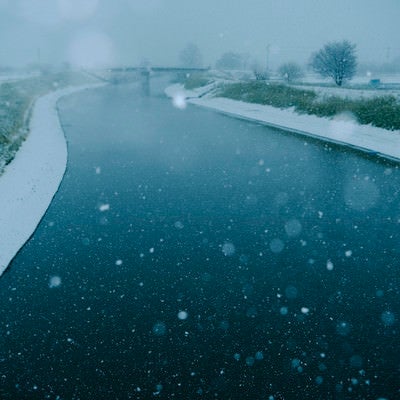 季節外れの雪が降る見沼田んぼの芝川の写真