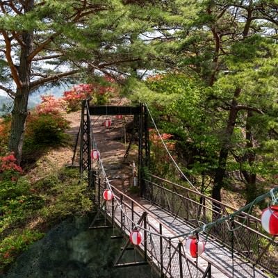 武石公園の吊橋から見るツツジの写真