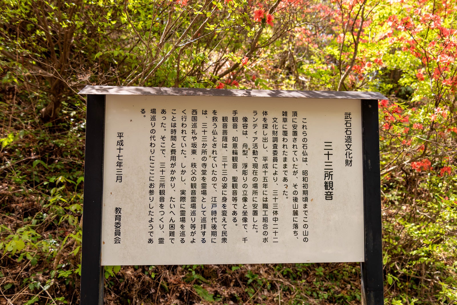 「武石公園に設置してある解説板」の写真