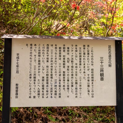 武石公園に設置してある解説板の写真