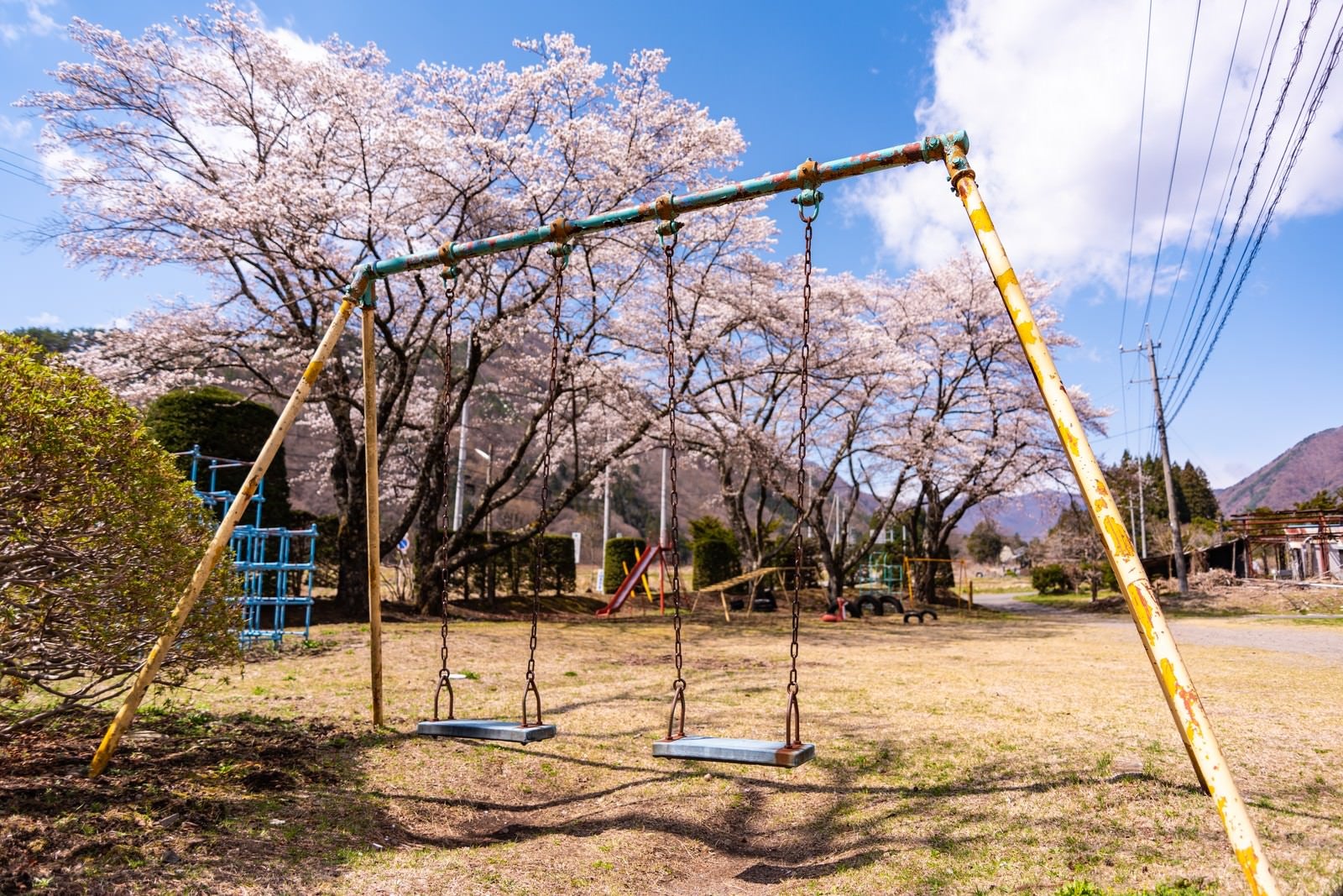 「児童公園に咲く桜とブランコ」の写真