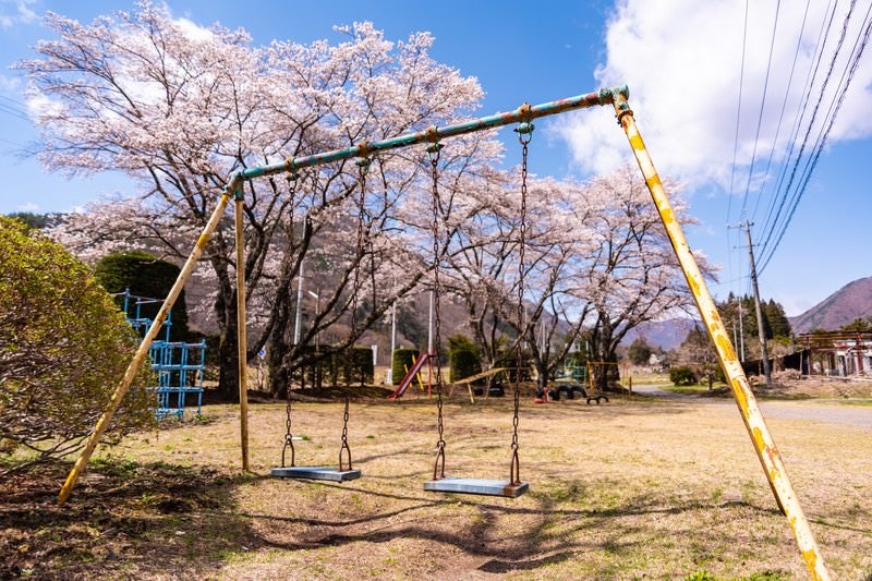 児童公園に咲く桜とブランコの写真