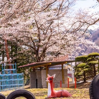 桜咲く児童公園と鹿の遊具の写真