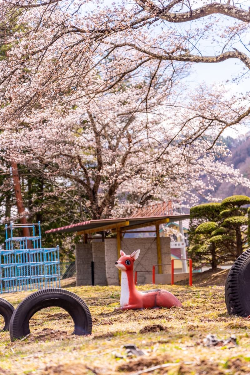 「桜咲く児童公園と鹿の遊具」の写真