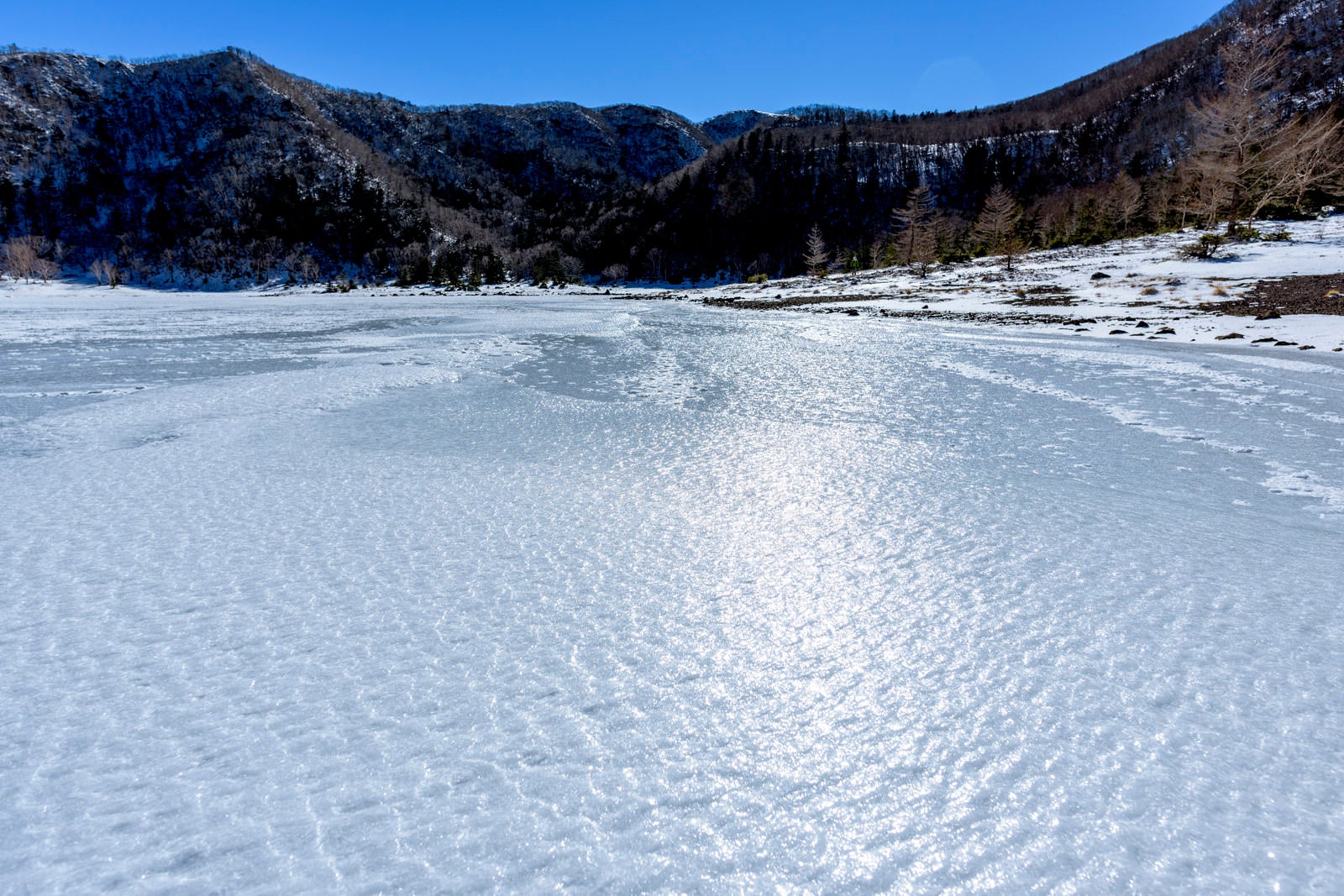 「凍結した五色沼」の写真