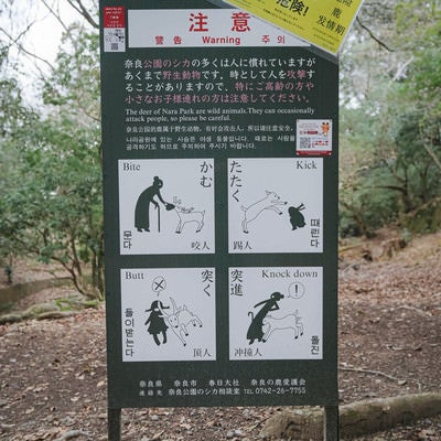公園のシカに注意する看板（かむ・たたく・突く・突進）の写真
