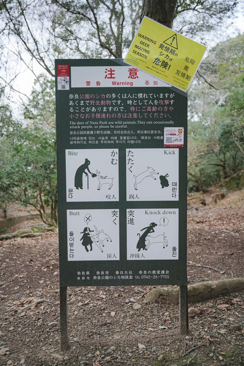 「公園のシカに注意する看板（かむ・たたく・突く・突進）」の写真
