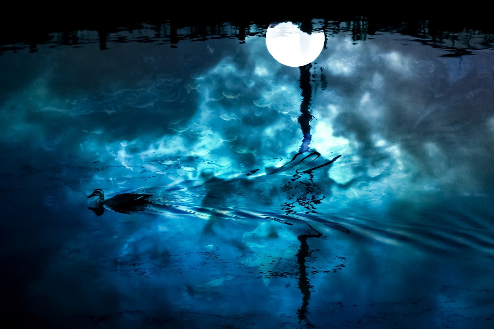 「湖面の満月（フォトモンタージュ）」の写真