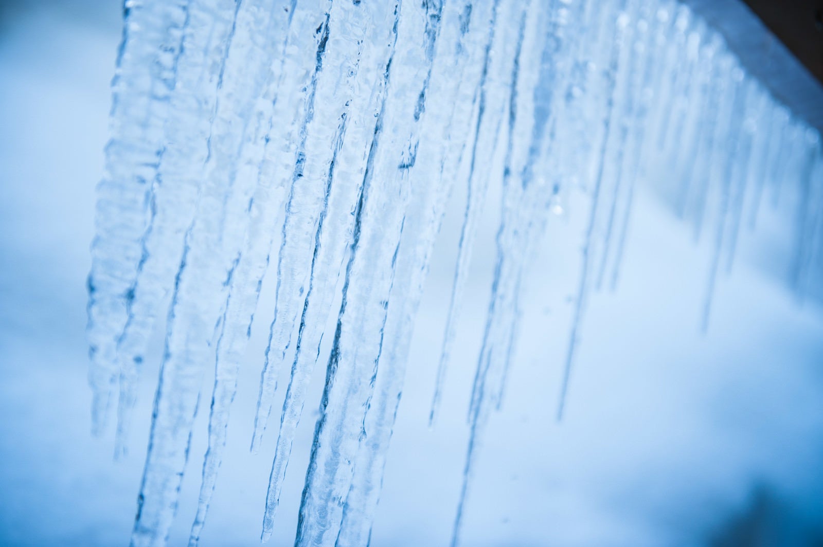 「透き通る軒下の氷柱」の写真