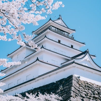 鶴ヶ城から景色を眺める観光客と桜の写真
