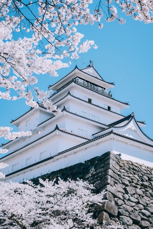鶴ヶ城から景色を眺める観光客と桜の写真