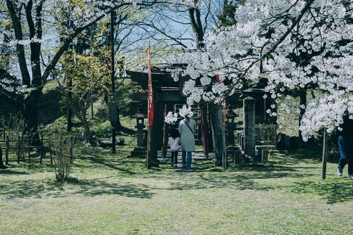 鶴ヶ城稲成神社に参拝に来た親子（福島県会津若松市）の写真