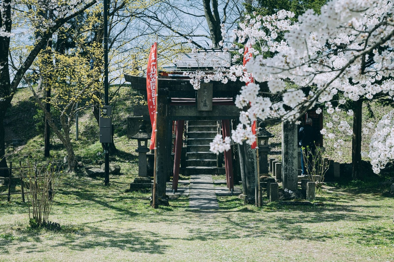 「桜と鶴ヶ城稲成神社（福島県会津若松市）」の写真