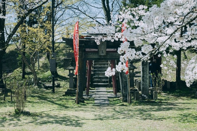 桜と鶴ヶ城稲成神社（福島県会津若松市）の写真
