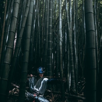 木漏れ日を浴びながら竹林で大弓を引く野盗の写真