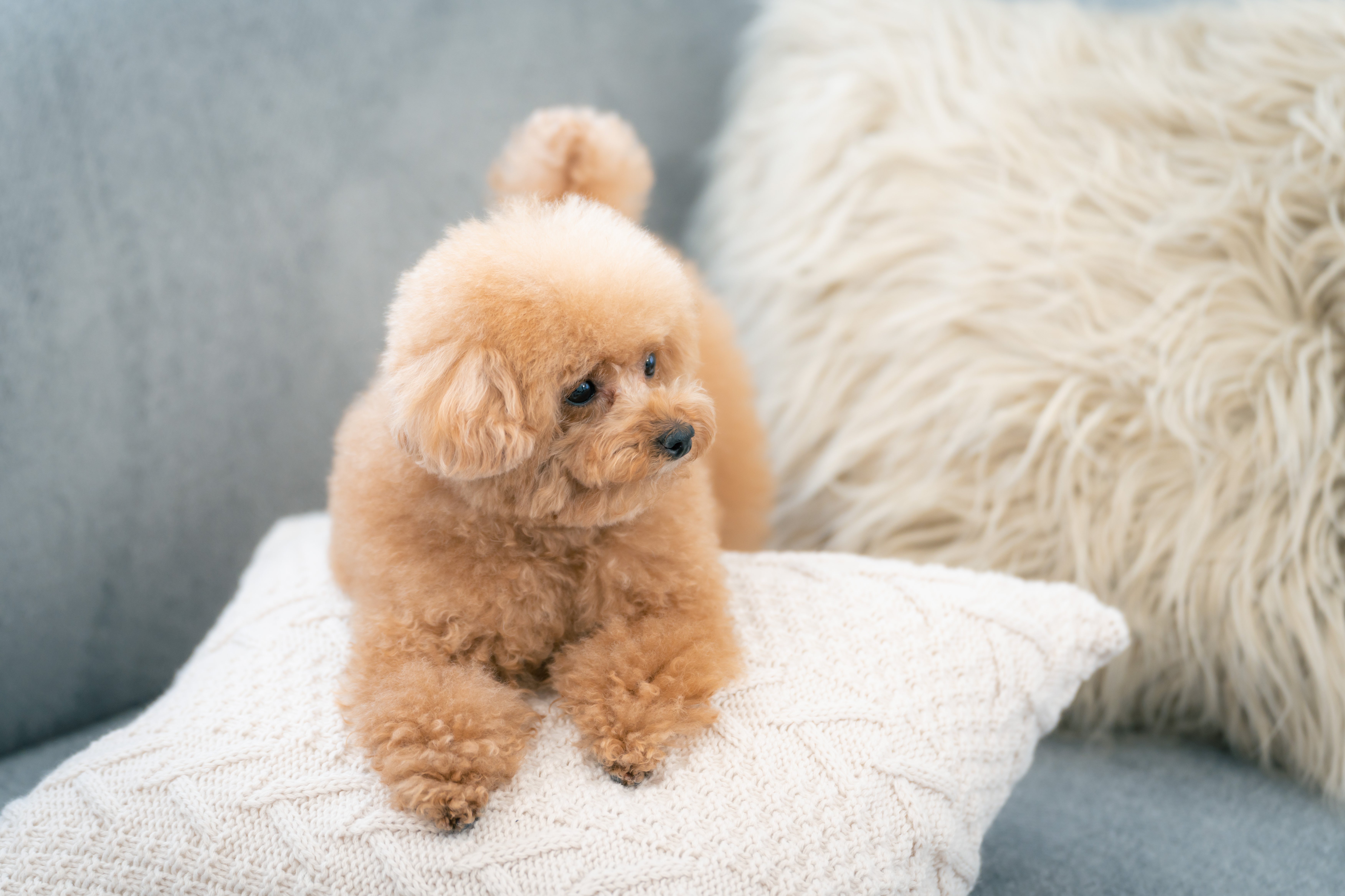 20220227-A7401421.jpg?&download=1