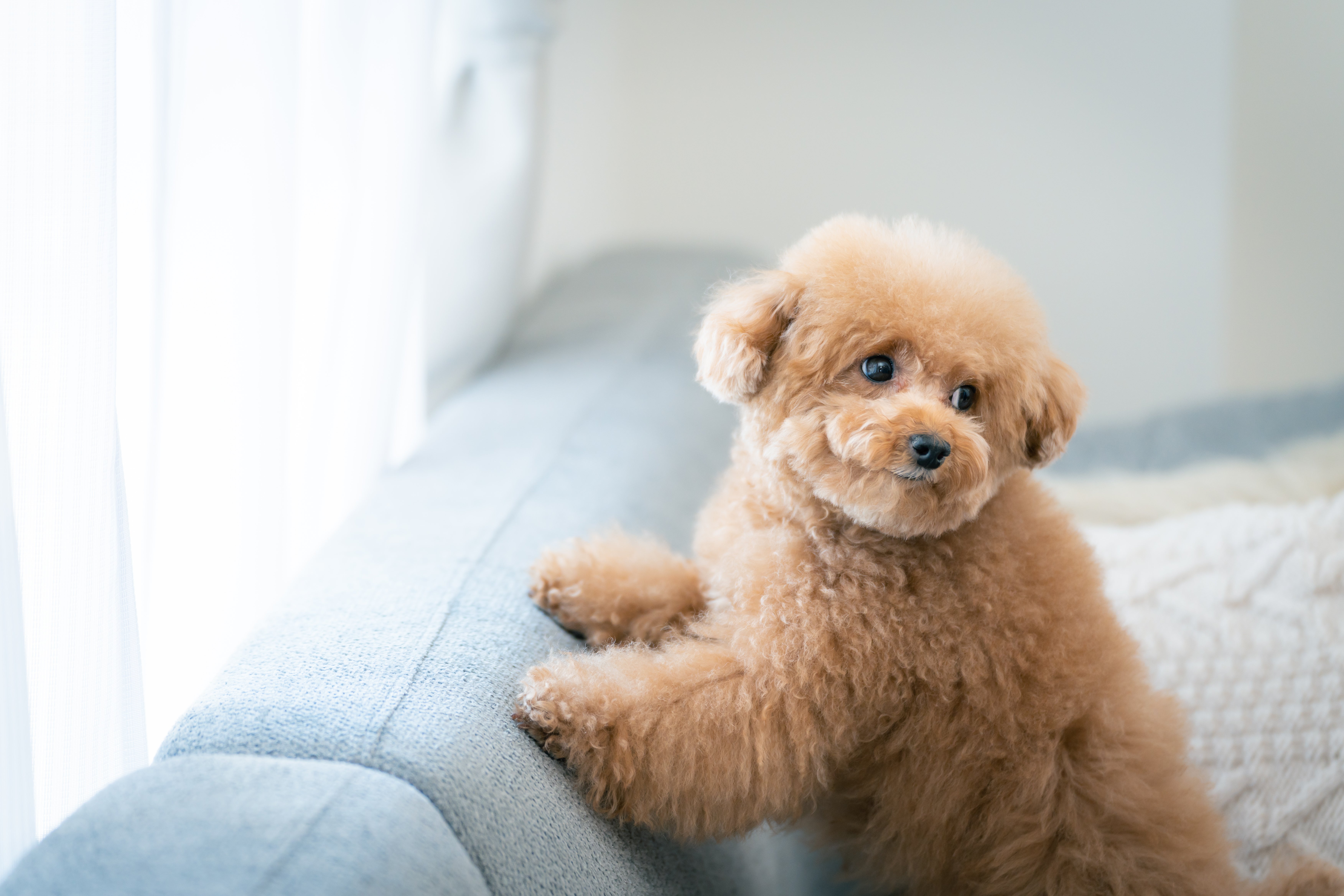 20220227-A7401467.jpg?&download=1