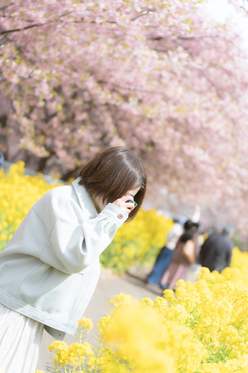 「菜の花にカメラを向ける女性」の写真