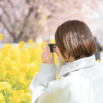 三浦海岸桜まつりを撮影する女性の写真