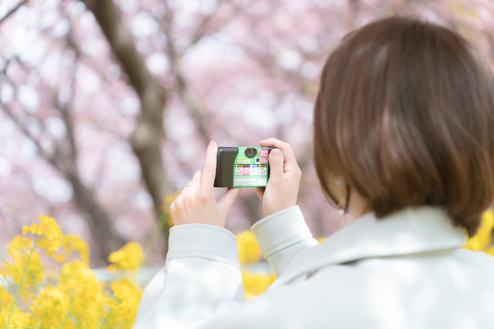 「桜と菜の花に撮影するカメラ女子」の写真