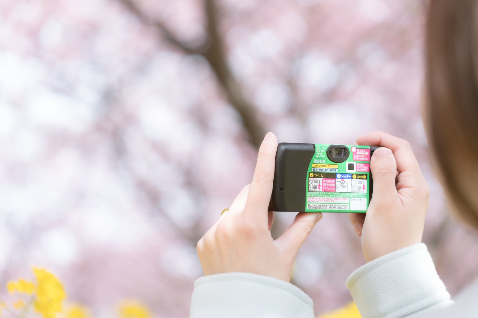「使い捨てカメラで桜の撮影をする様子」の写真