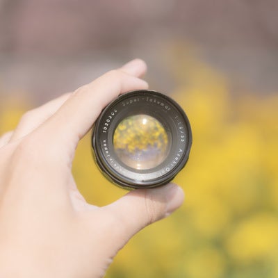 交換レンズから見た菜の花の写真