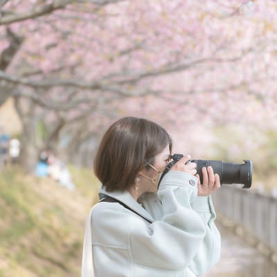 桜並木の下で一眼レフカメラを覗く女性の写真