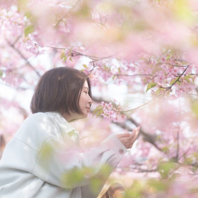 桜の花を嗅ぐ女性の写真