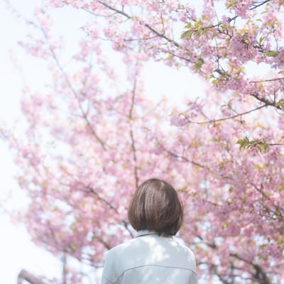 桜の下で待ちぼうけの女性の写真