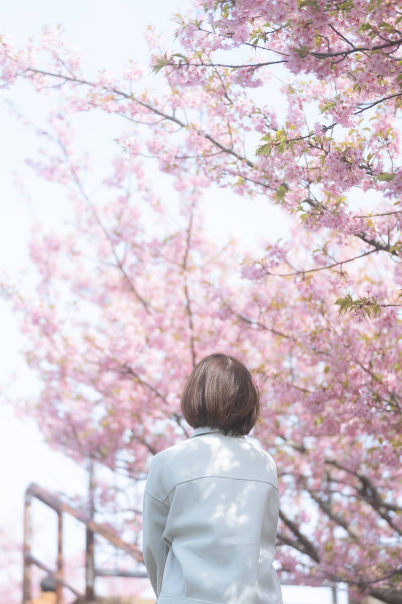 「桜の下で待ちぼうけの女性」の写真