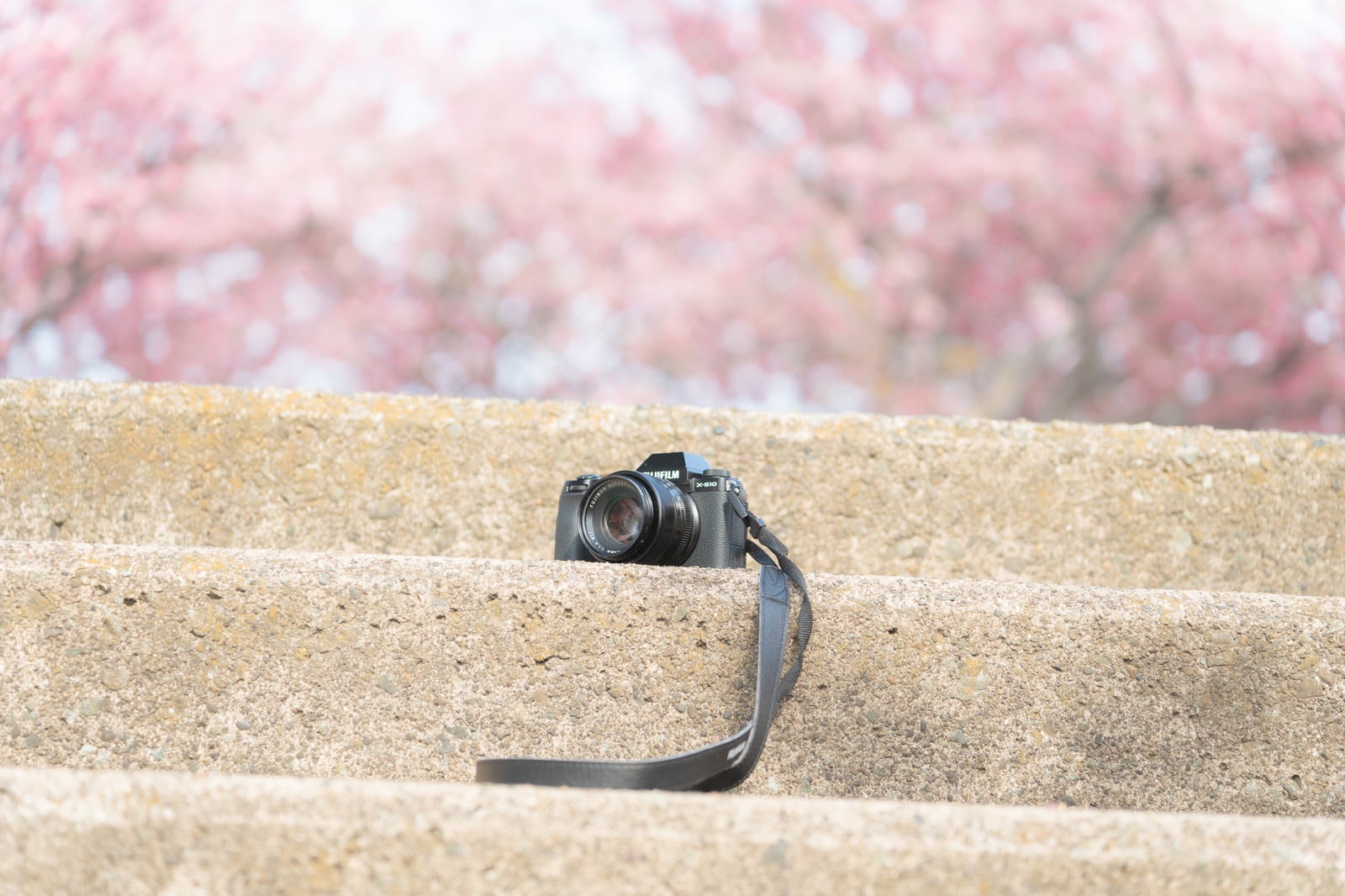 「階段に置き忘れたカメラ」の写真